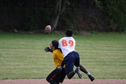 OTFL Gallery Image